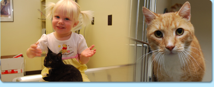 Jones Animal Hospital - Resources