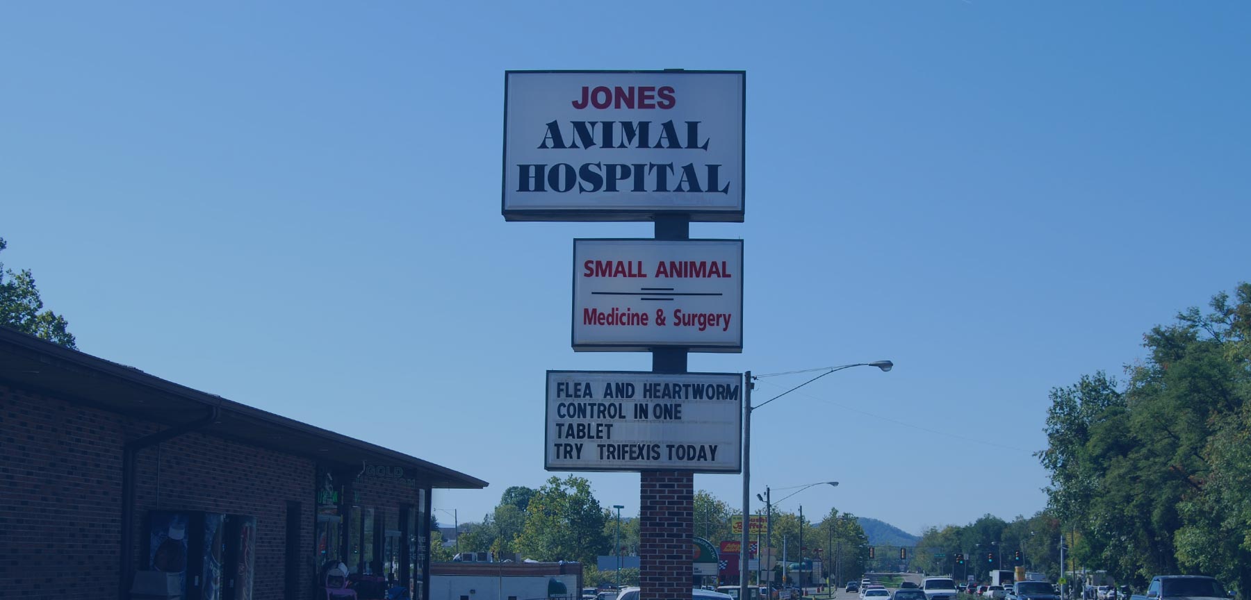 Welcome To Jones Animal Hospital | Veterinarian in Bristol, TN
